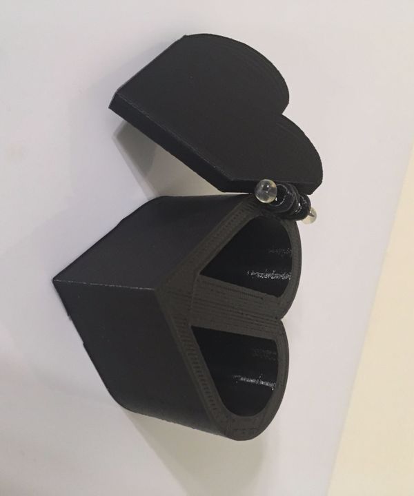 Don't Go Bacon My Heart