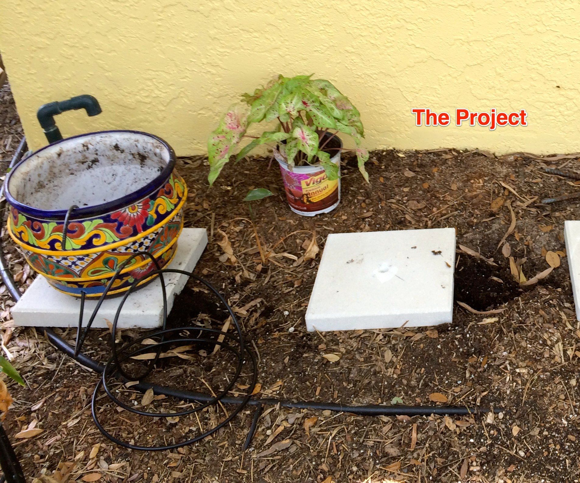 Hurricane Proof (Maybe) Flower Pots