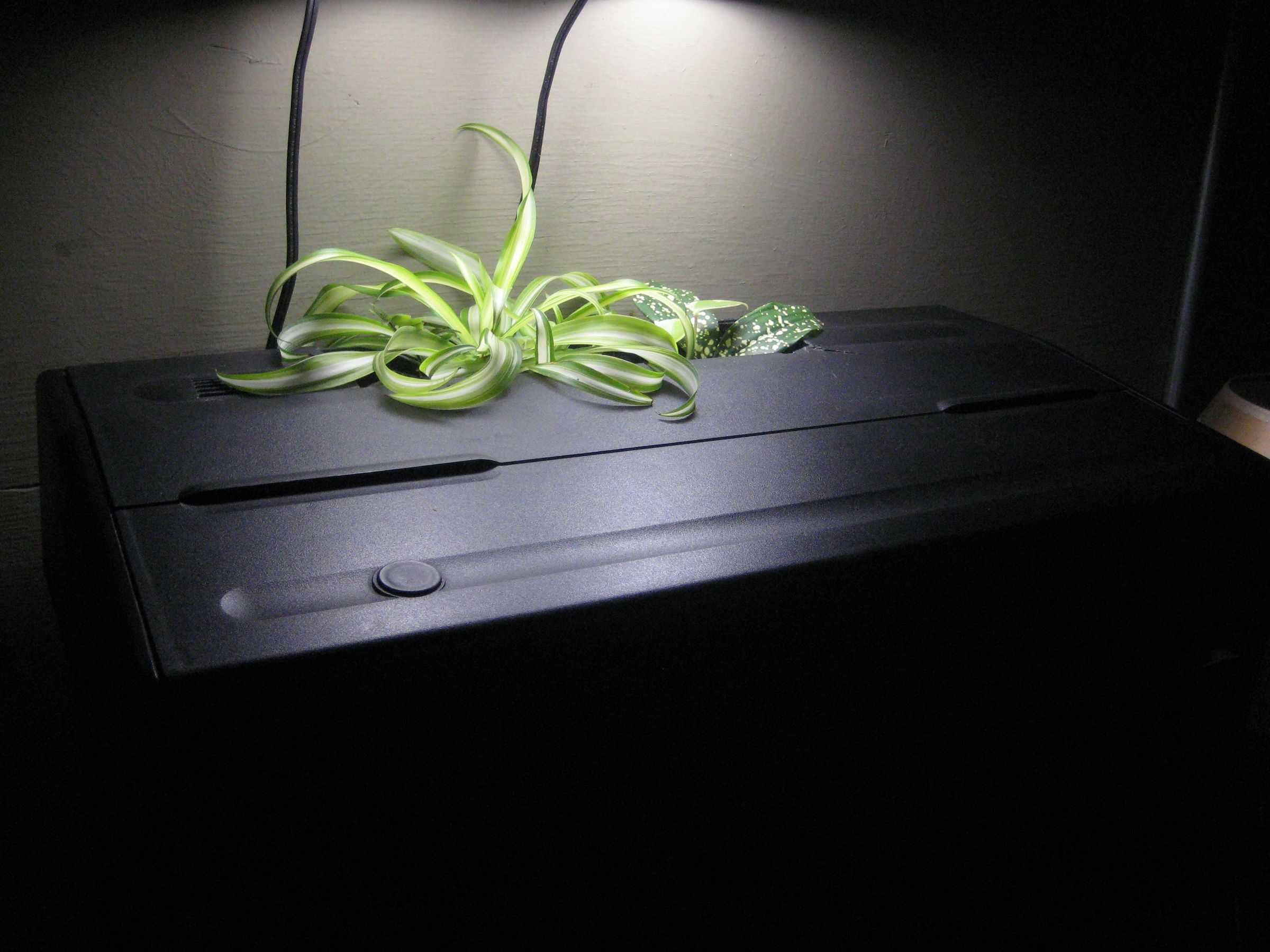 Fish tank plant cloner