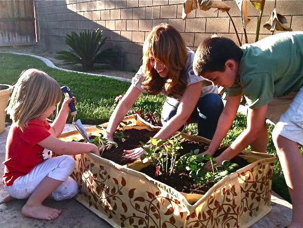 How to Grow Crops in Bags or Sacks - Part 1