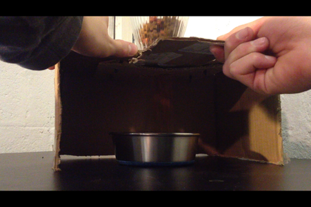 Cardboard Cat Feeder