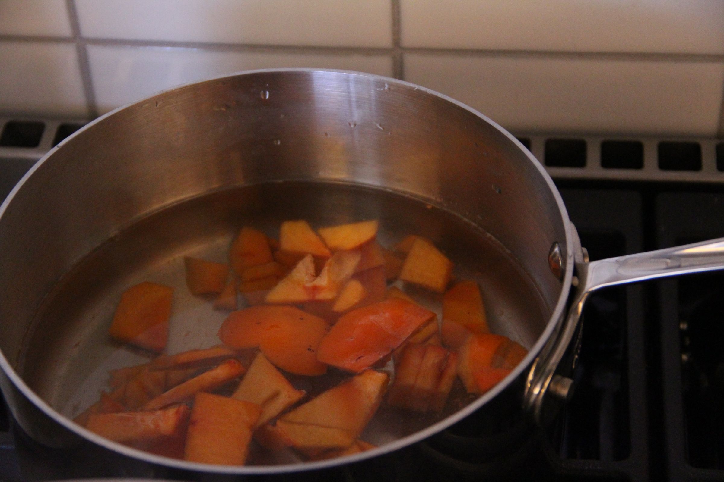 Insects for FoodPrep. 101 11 Steps (with Pictures) Instructables