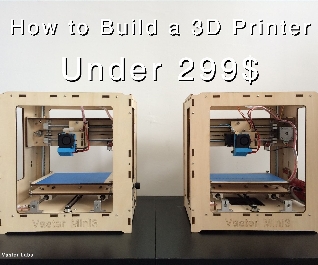 Building a 3D Printer Under 299$