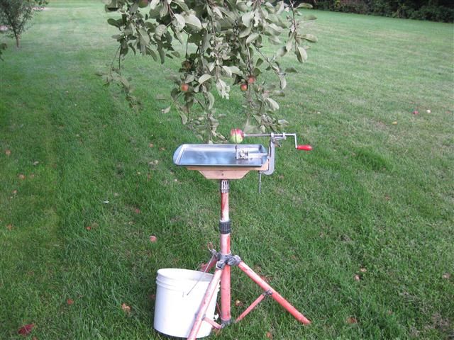 Apple Seed Jewelry Making Station
