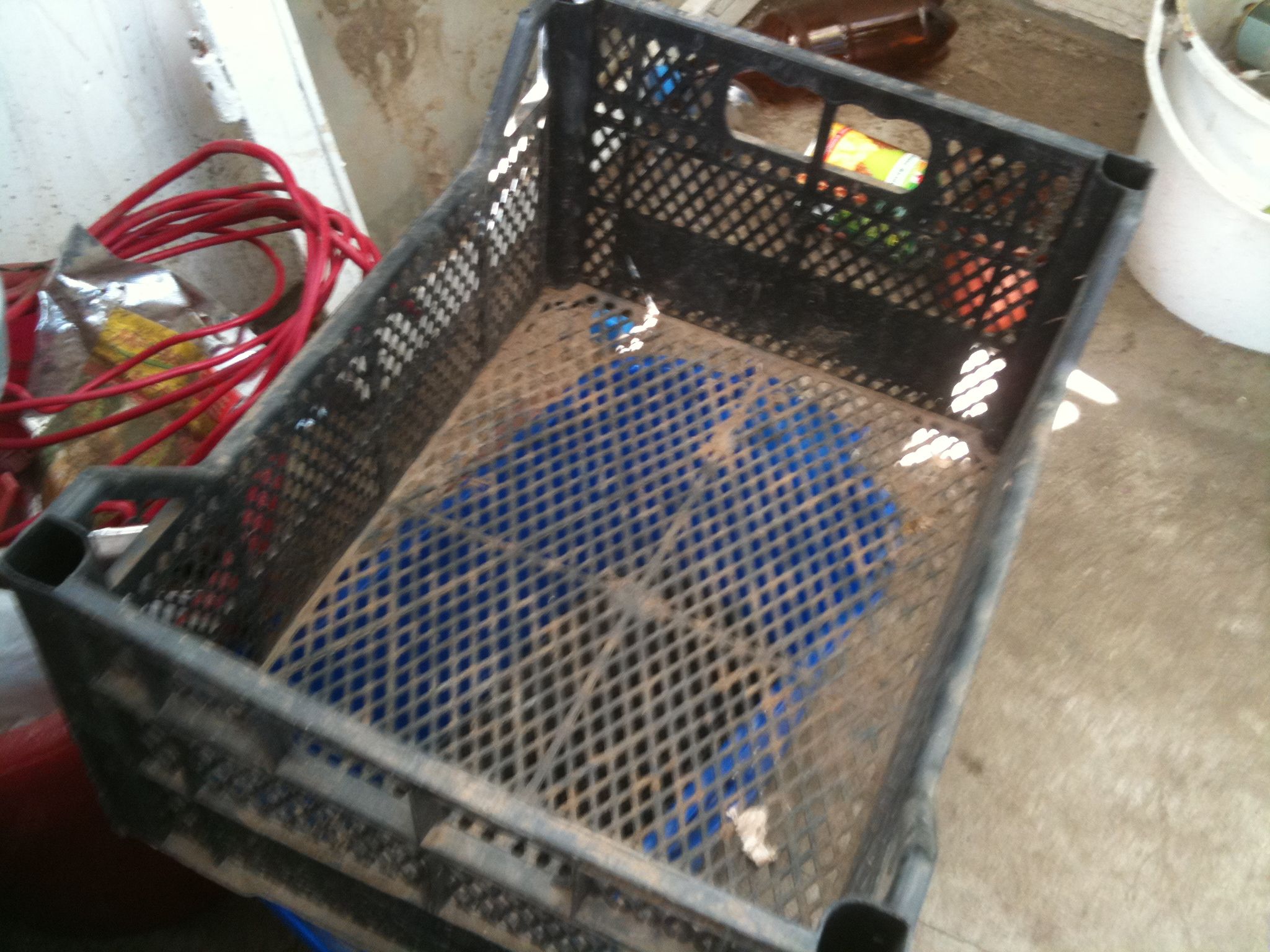 Fruit Box to Worm Box Conversion