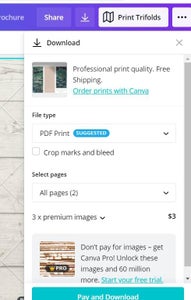 Edit, Revise, Share, and Publish