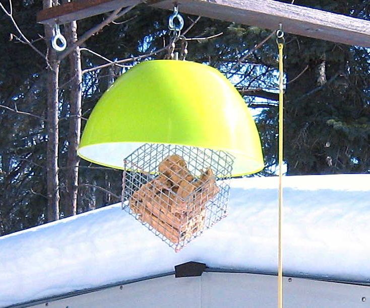 Homemade Suet Feeder 6 Steps Instructables