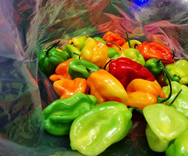 Homemade Mesquite Habanero Powder