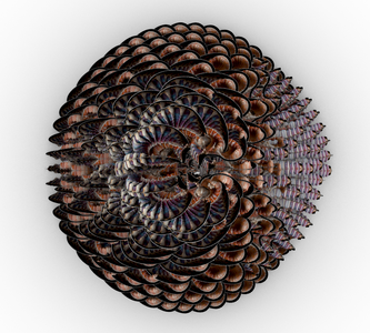 Angulate Wentletrap Inspired Shell