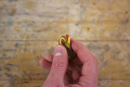 EXPERT TIP 1 - Colour Mixing