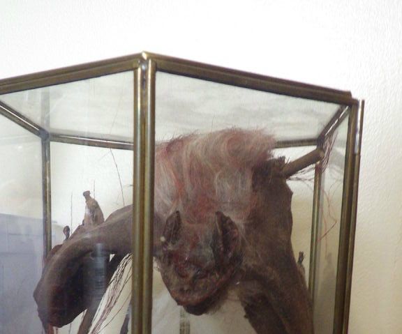 Bat Terrarium