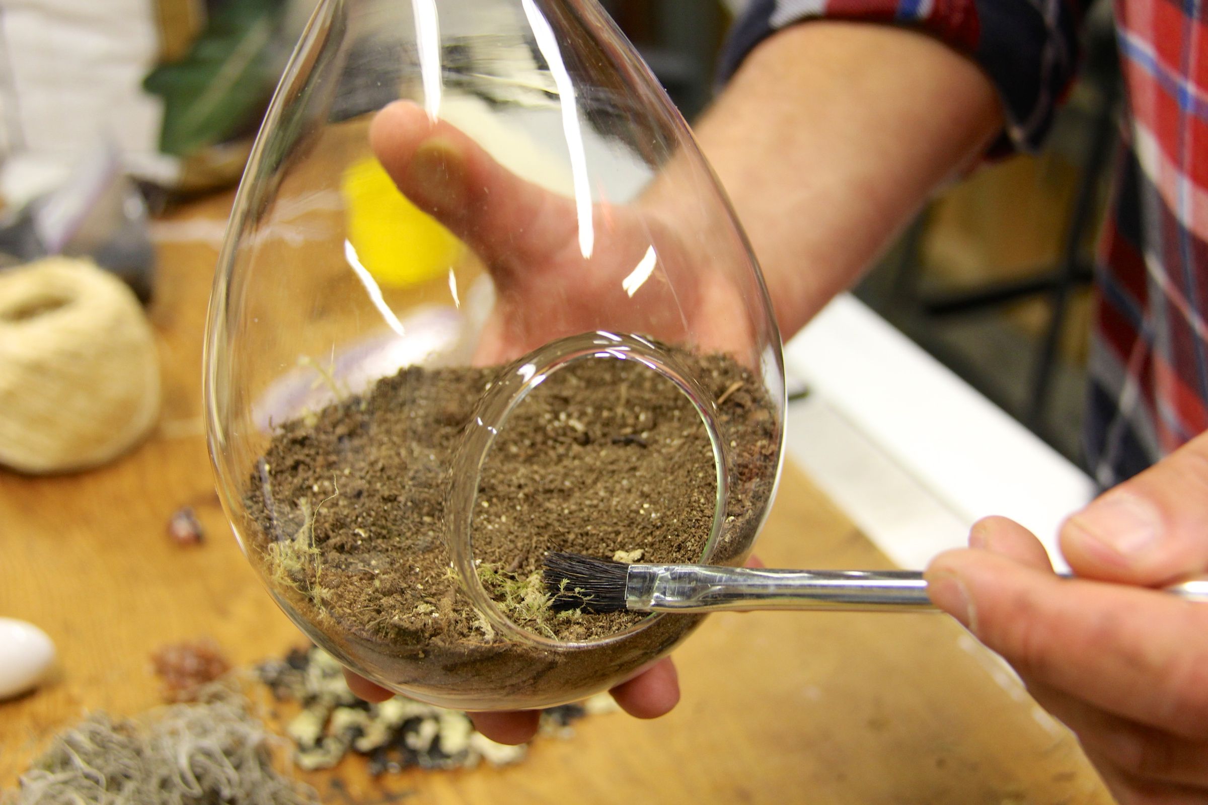 How to Make a Terrarium : 7 Steps (with Pictures) - Instructables