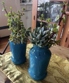 plant trellis outdoor H Potter Geometric Garden Trellis Set of 3  1 Large 69" Tall & 2 Small  58"Tall