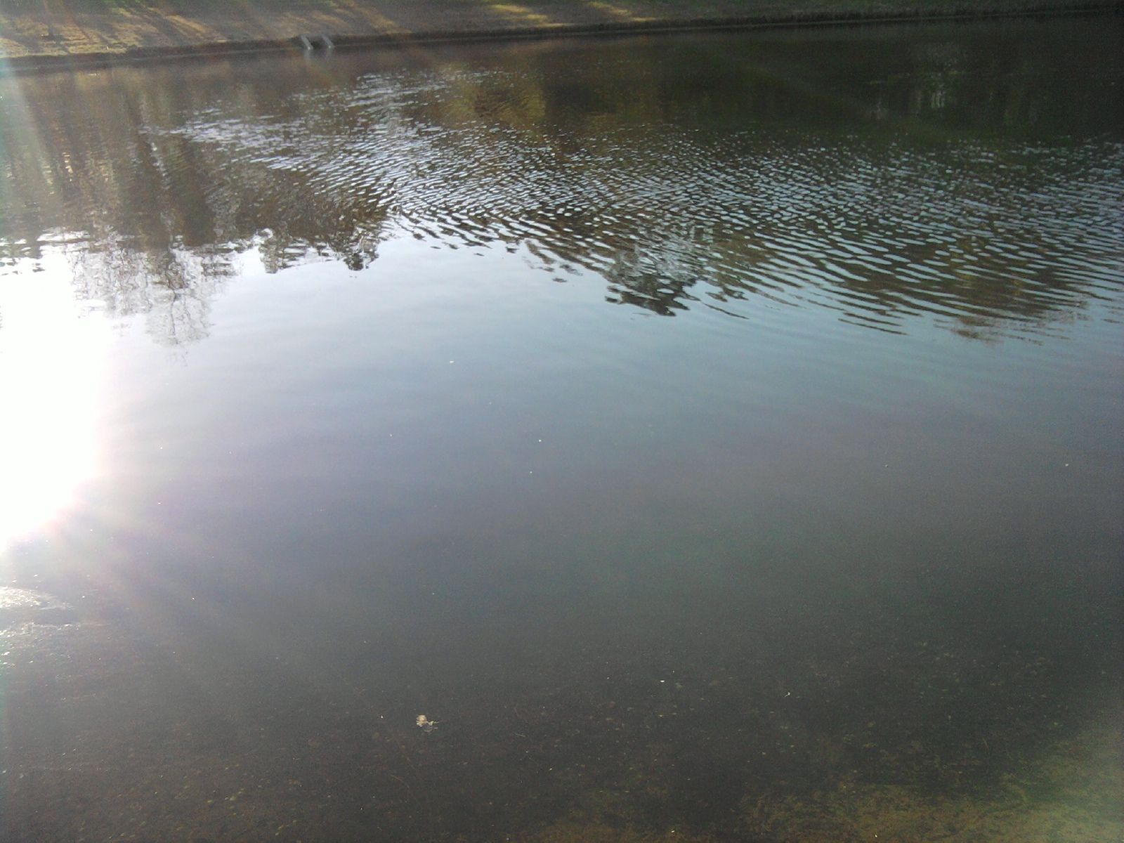 guide to fresh water fishing