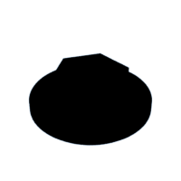 download {{ file.name }}