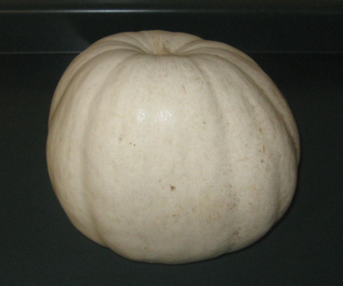 Pumpkin Soup, Chocolate Chip Muffins, & Cookies