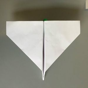 Once Again, Go Over All Your Previous Folds Until Your Plane Can Hold a Shape Consistent With the Photo Below.