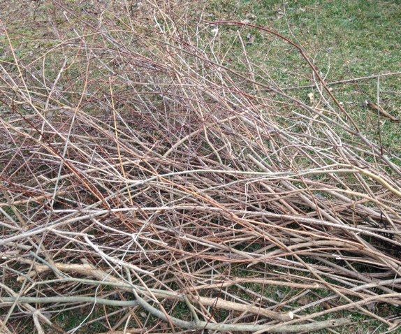 Pruning Cleanup Made Easier