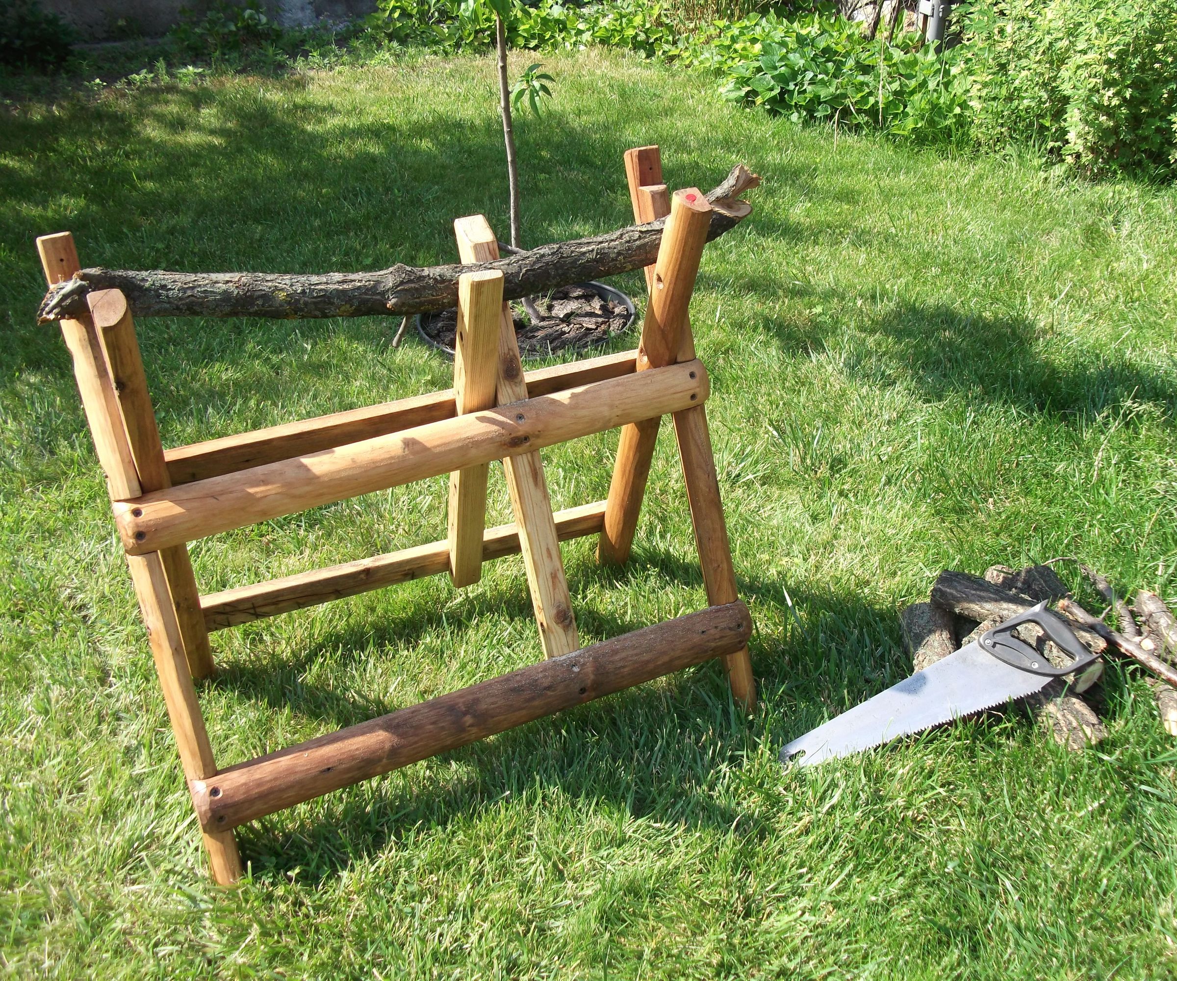 My Horse Is Amazing (not a Tutorial)