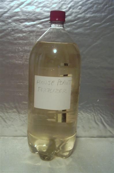 Water Your House Plants With Natural Organic Fertilizer for Free