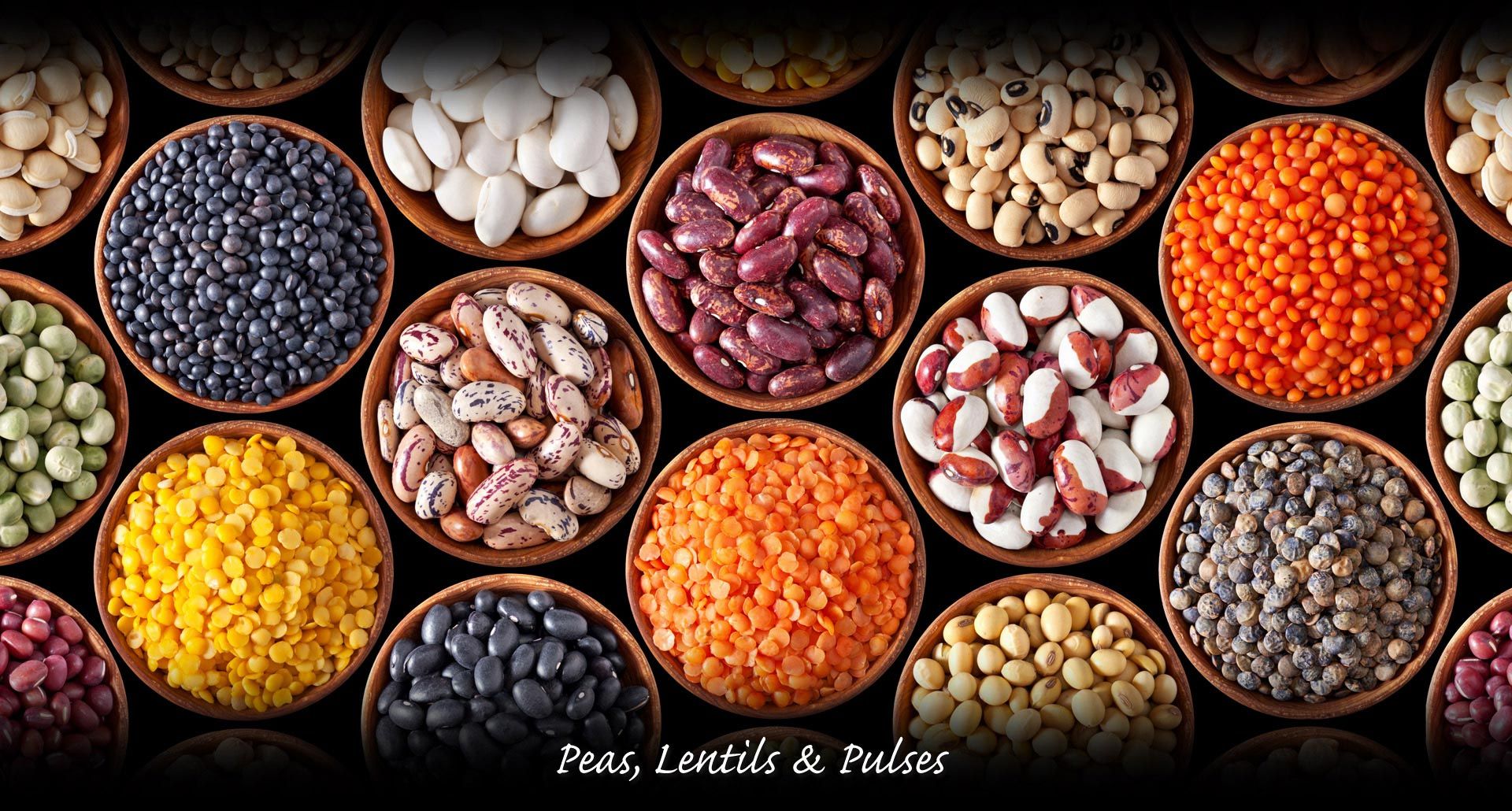 Growing Demands of Quality Indian Natural Sesame Seeds