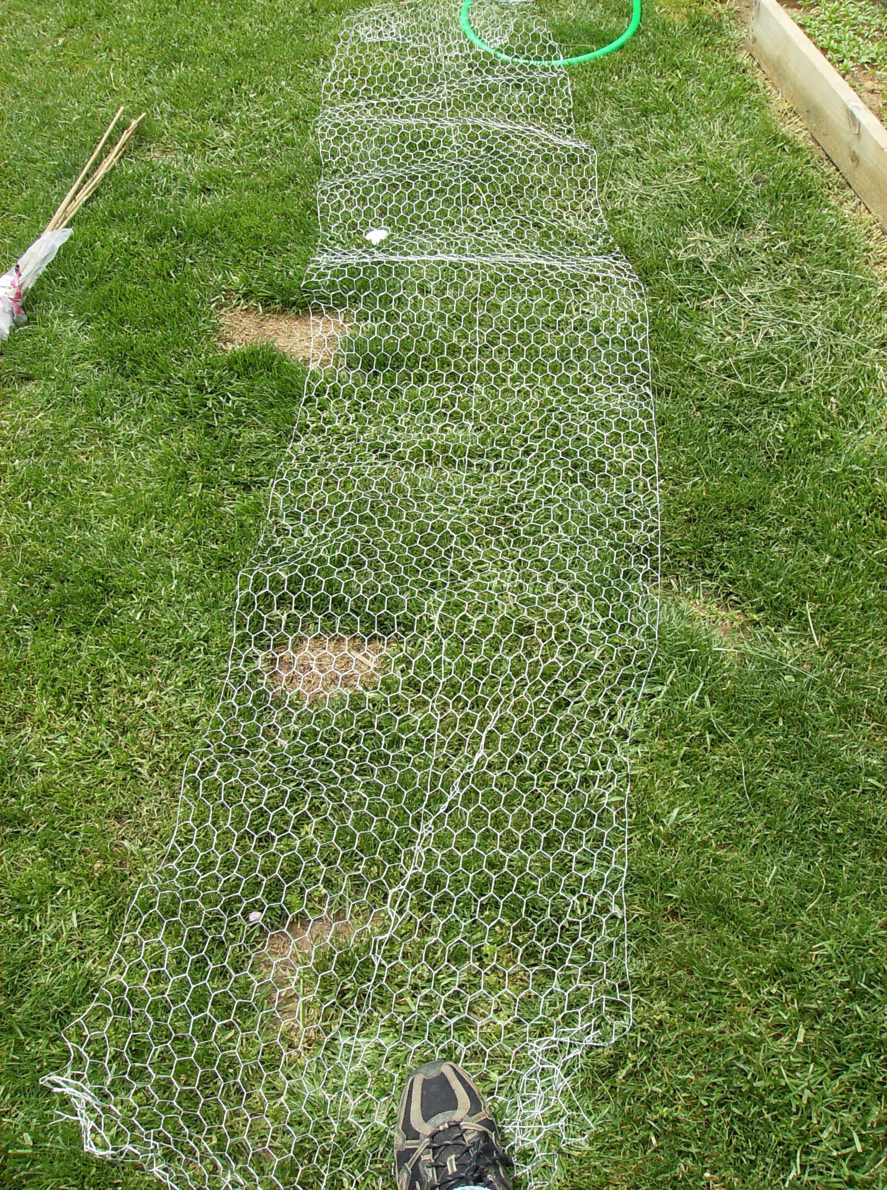 How to Build a Low Cost Vegetable Garden Trellis 5 Steps (with