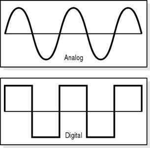 Terminology