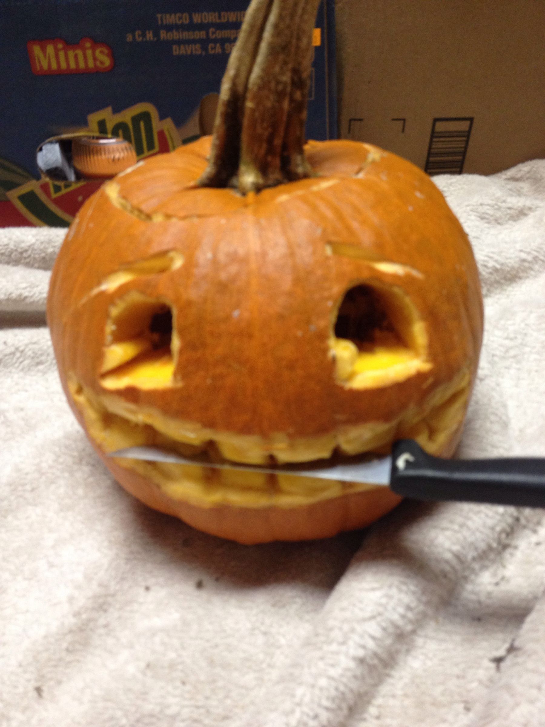 My Cool Pumpkins