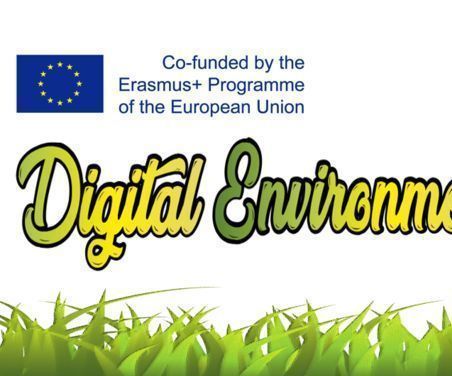 DEEDU Luminosity Activity