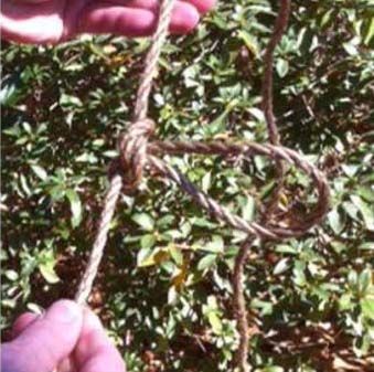 Butterfly Knot Made Simple