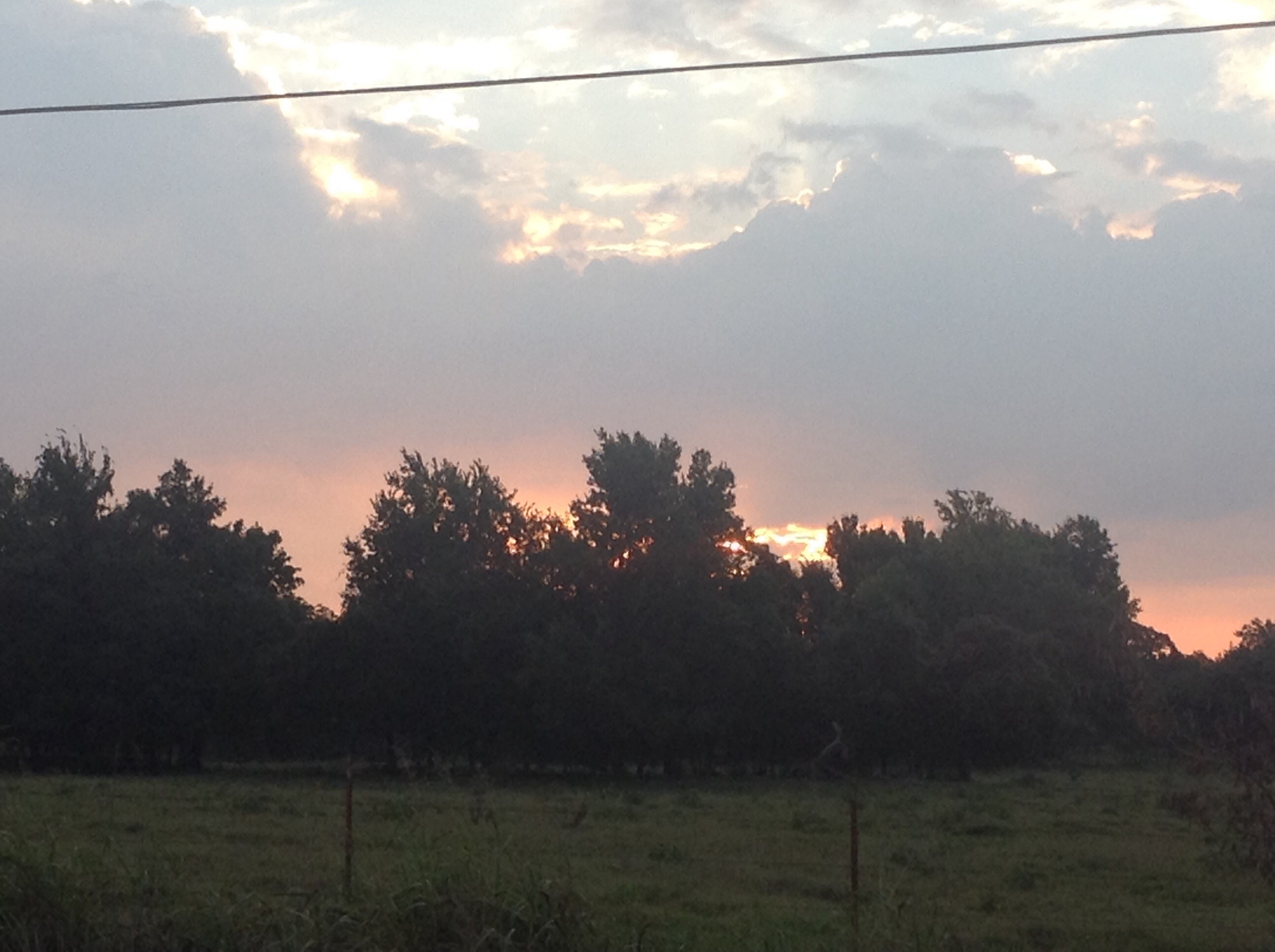 How to Write a Story. Assignment, Ect.