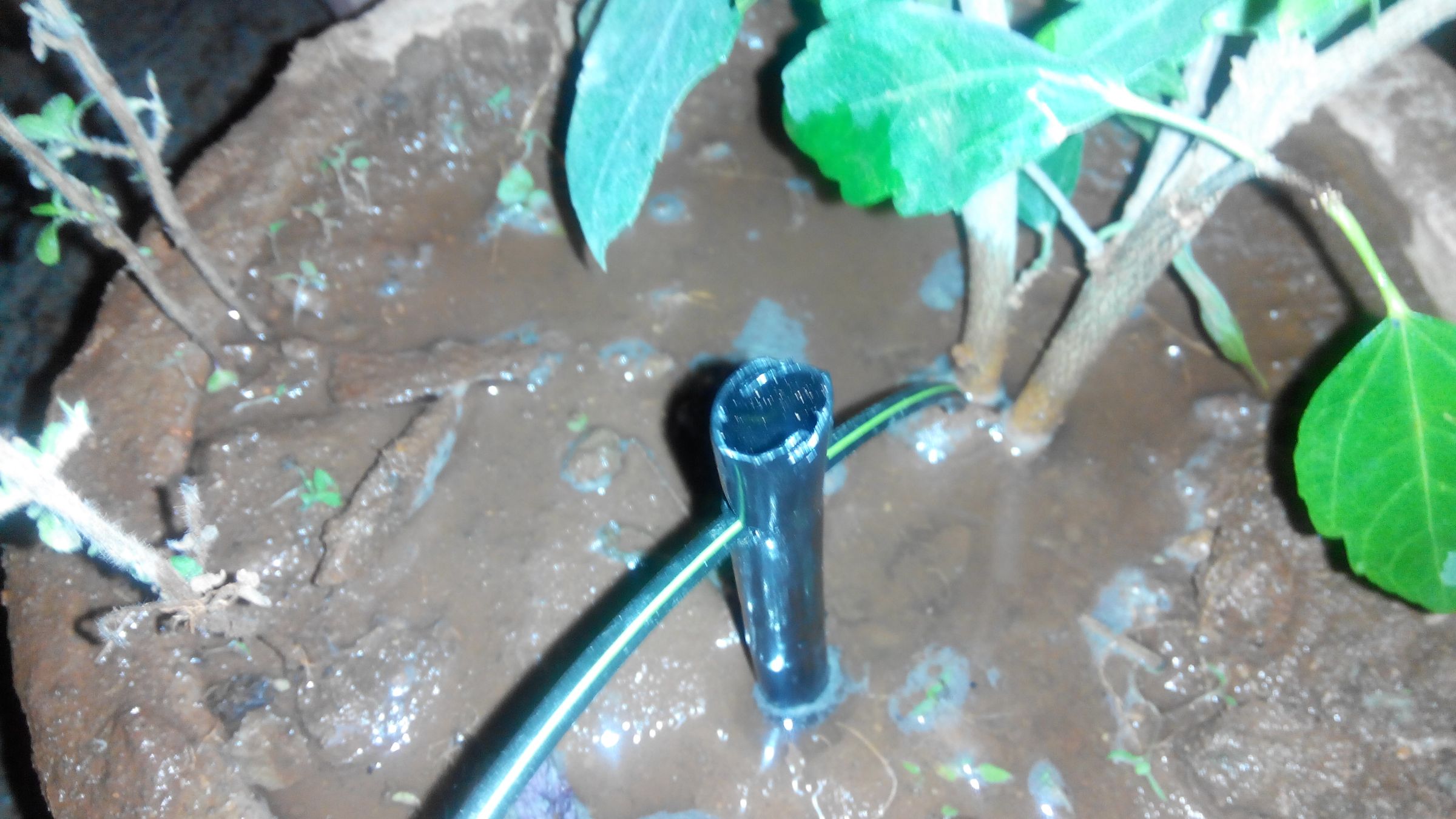 Automatic/manual Drip Irrigation