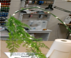 Ecosystem Night Light