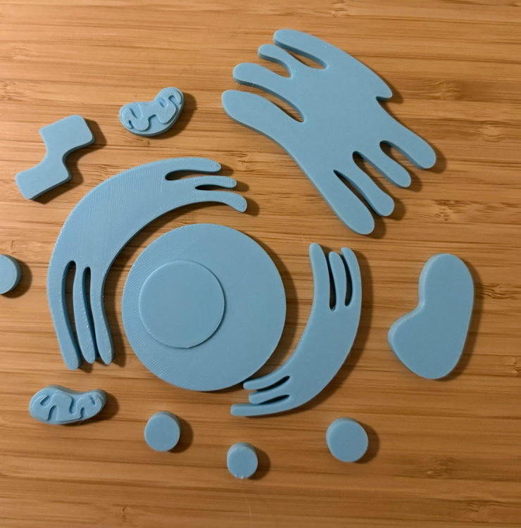 3D Printed Cell Model : 3 Steps - Instructables