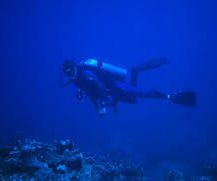 Enhanced Scuba Gloves