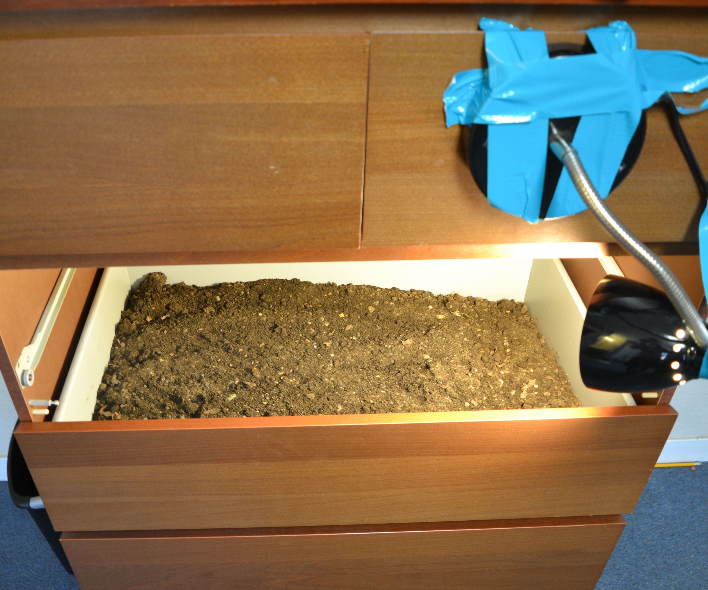 Plant Dresser