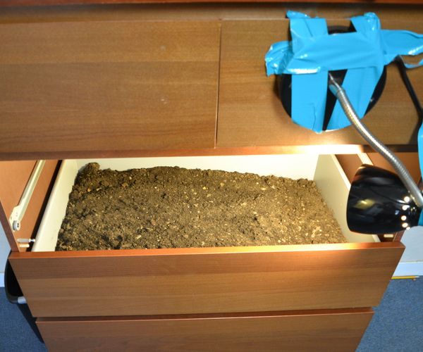 Plant Dresser
