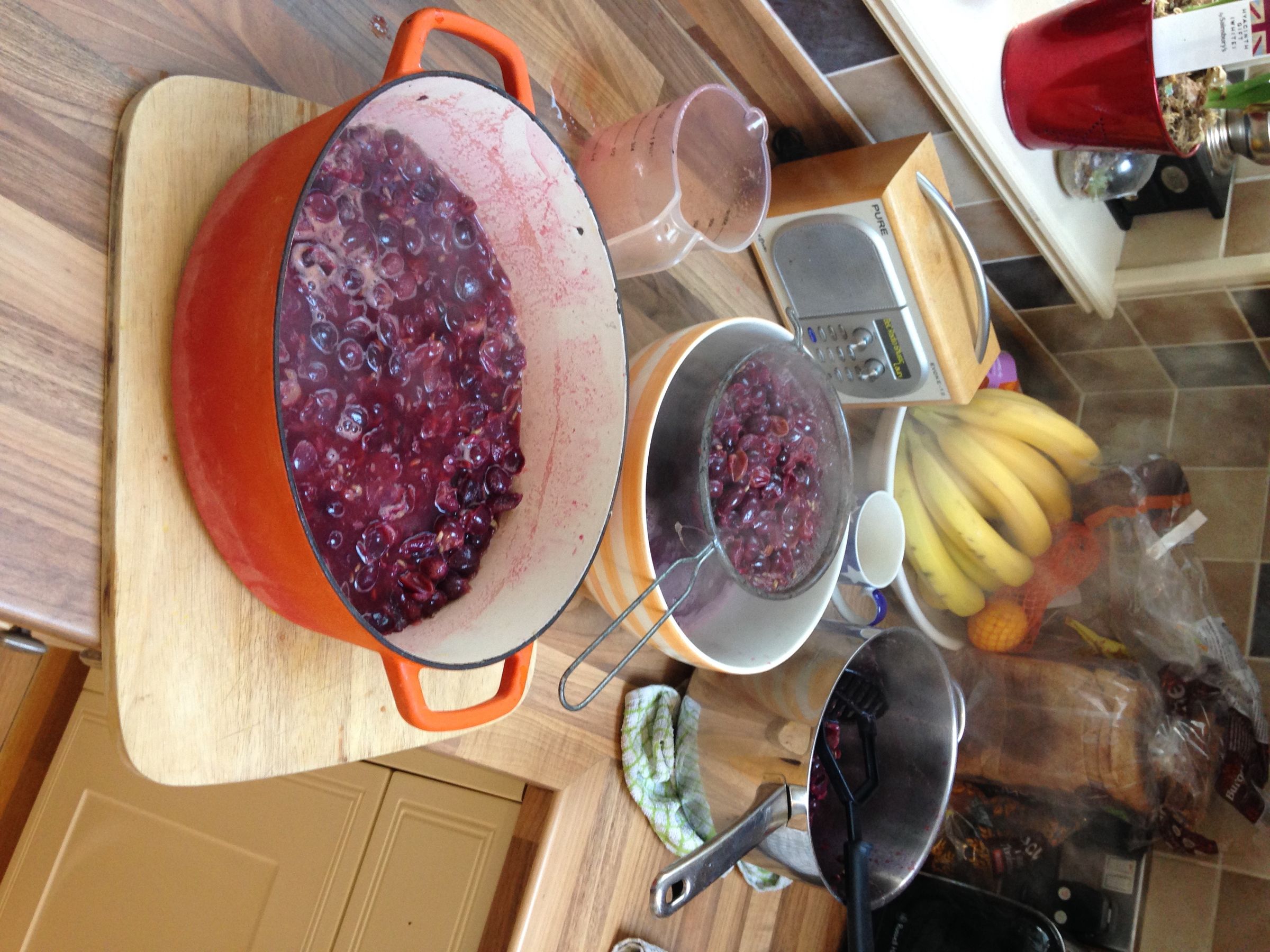 Delicious Organic Red Grape Jelly : 10 Steps (with Pictures ...