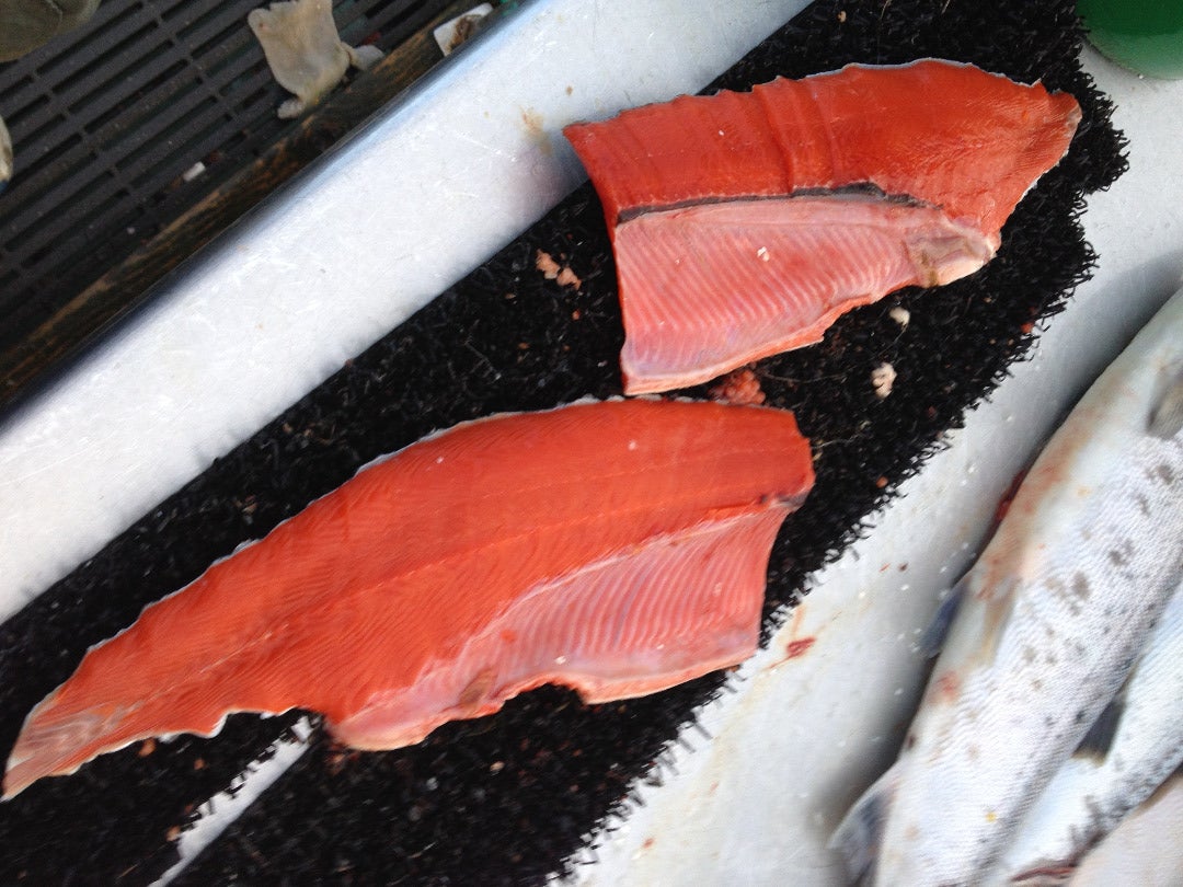 how to clean salmon fish