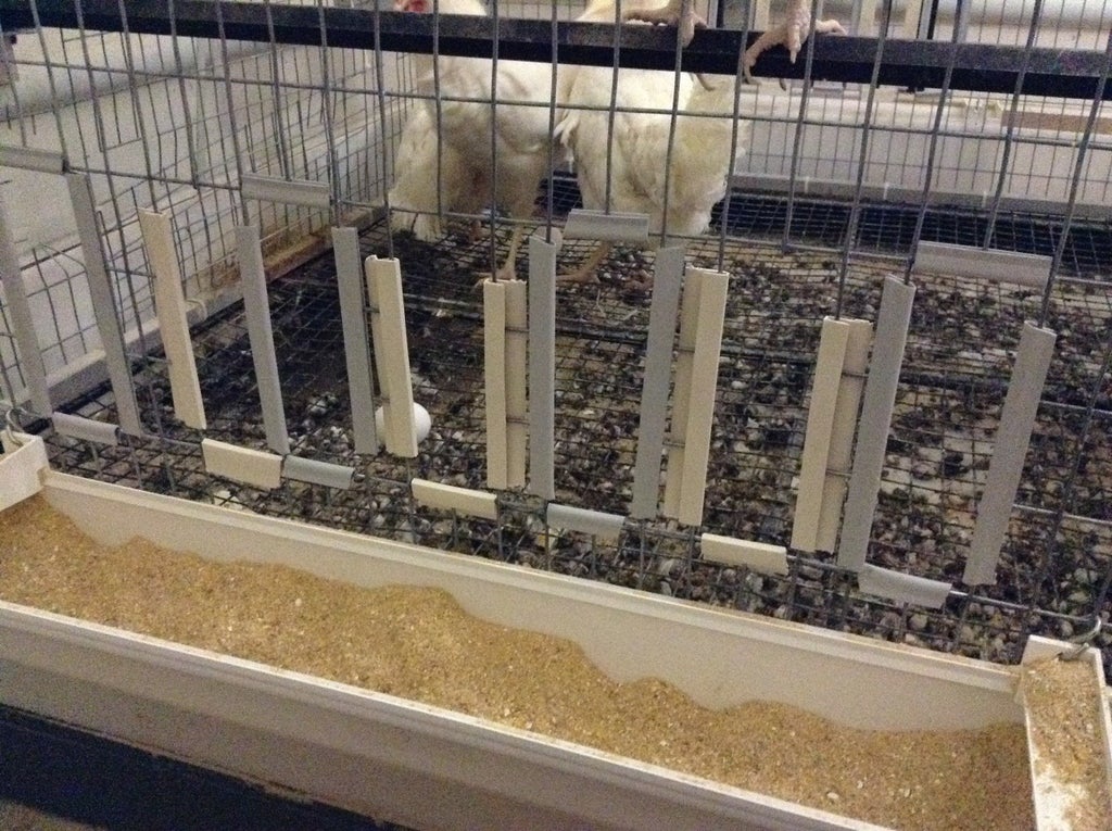 Home Grown Eggs: Building Your Own Chicken Cage : 12 Steps - Instructables Home Grown Eggs: Building Your Own Chicken Cage : 12 Steps - Instructables