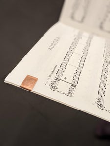 End Product & Next Steps!