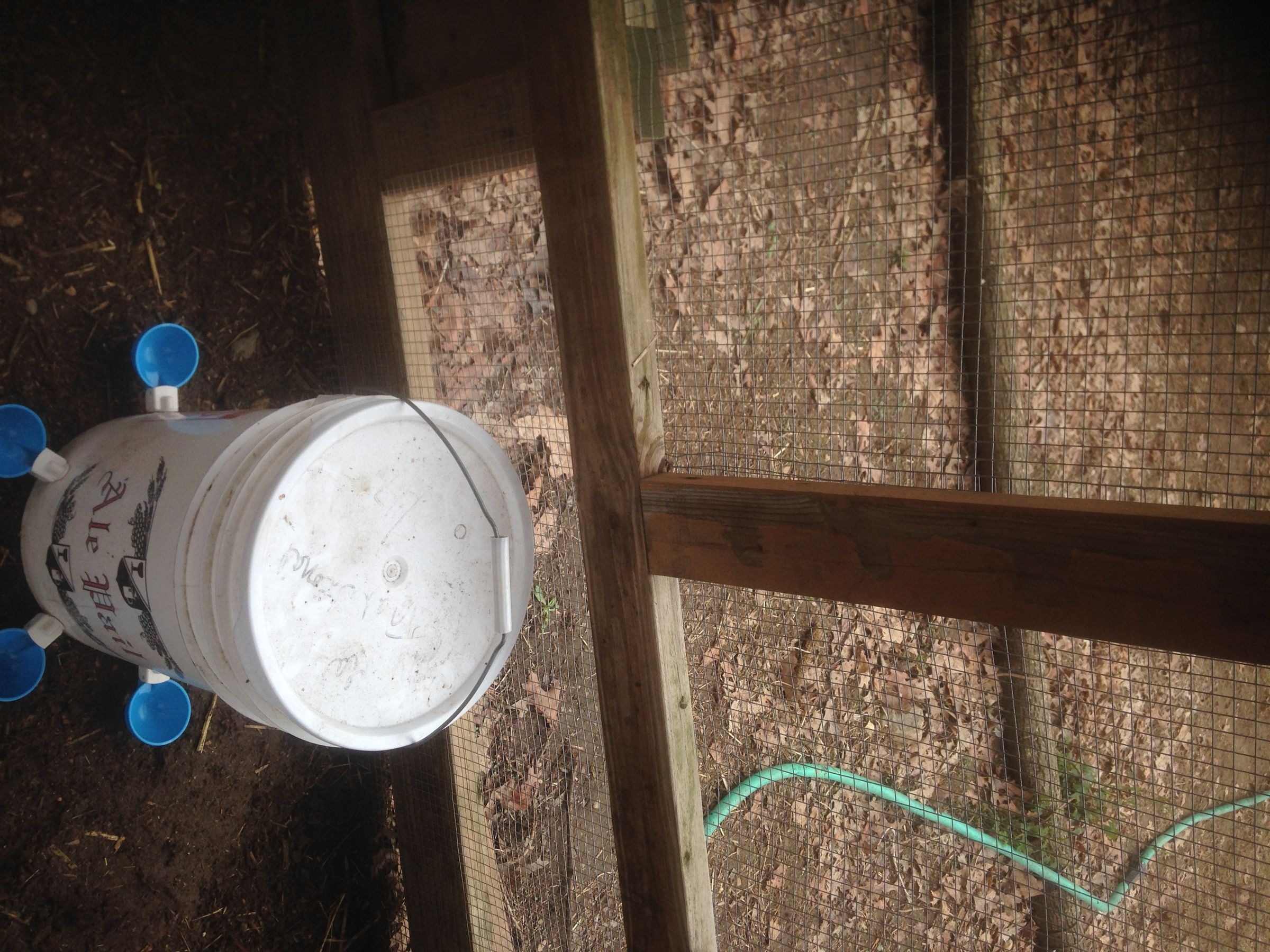 Chicken Fix'n Super Simple Chicken Waterer, Chicken Chunnels and 50