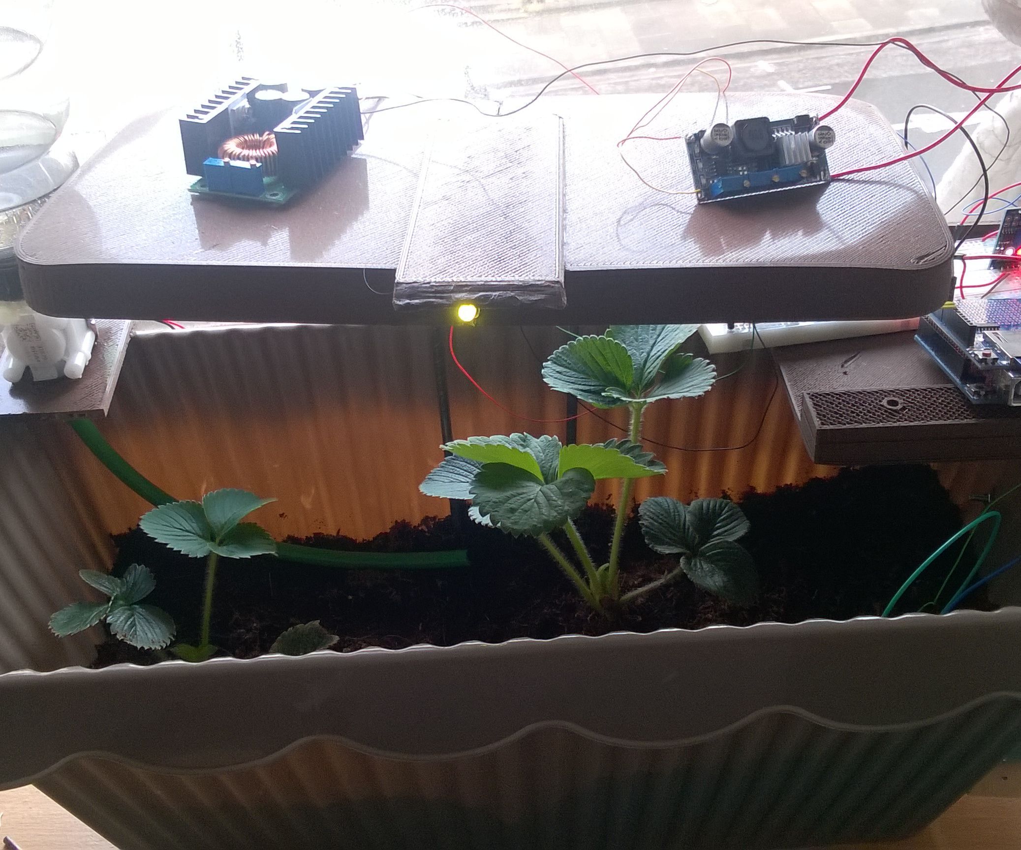 Automated Plants Watering and Lighting System