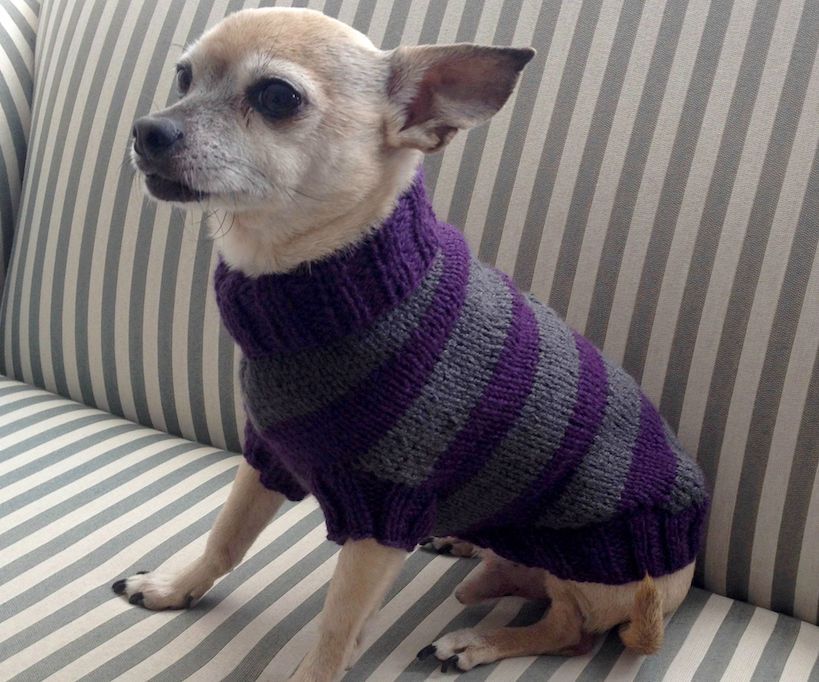 A Belated Christmas Gift for Valentino