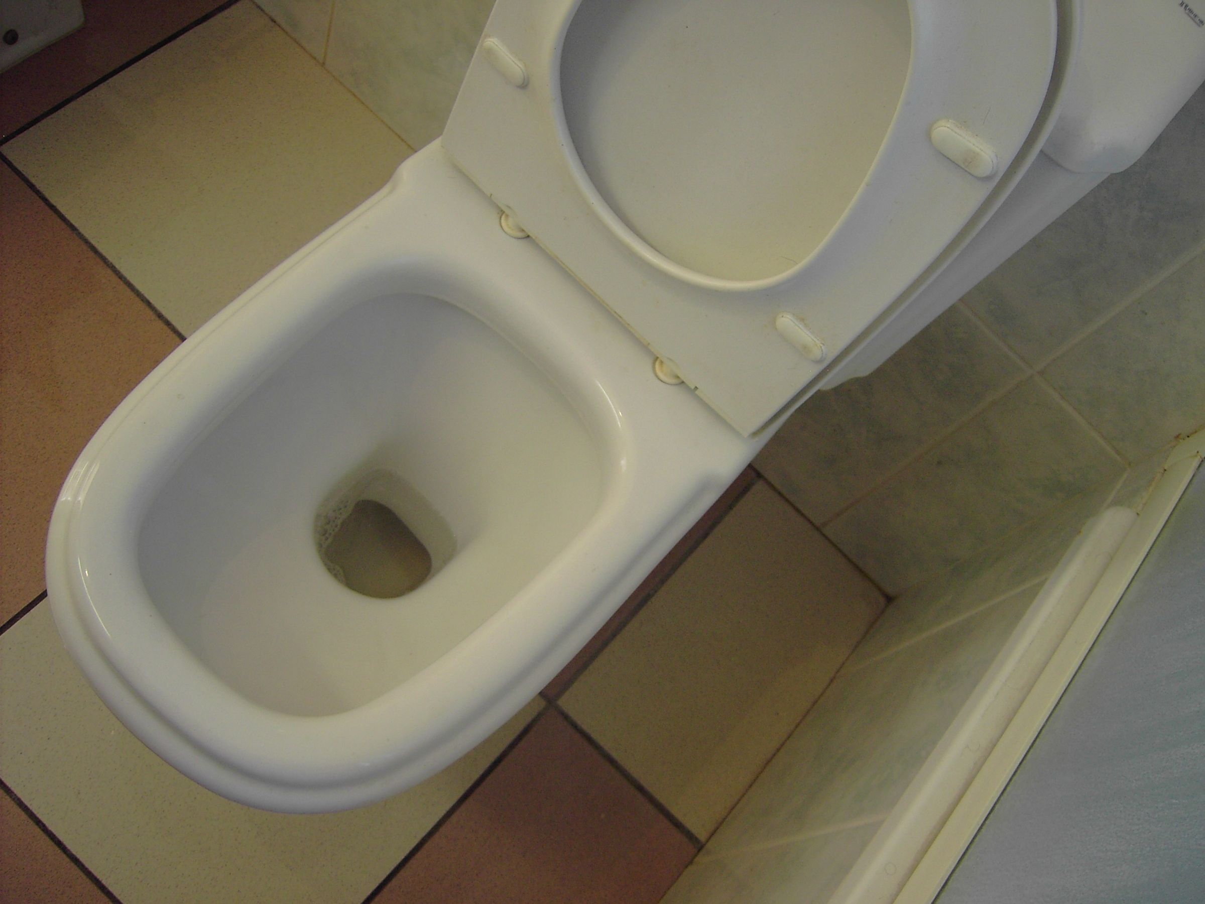 In Tank Toilet Cleaner and Deodorizer 10 Steps Instructables