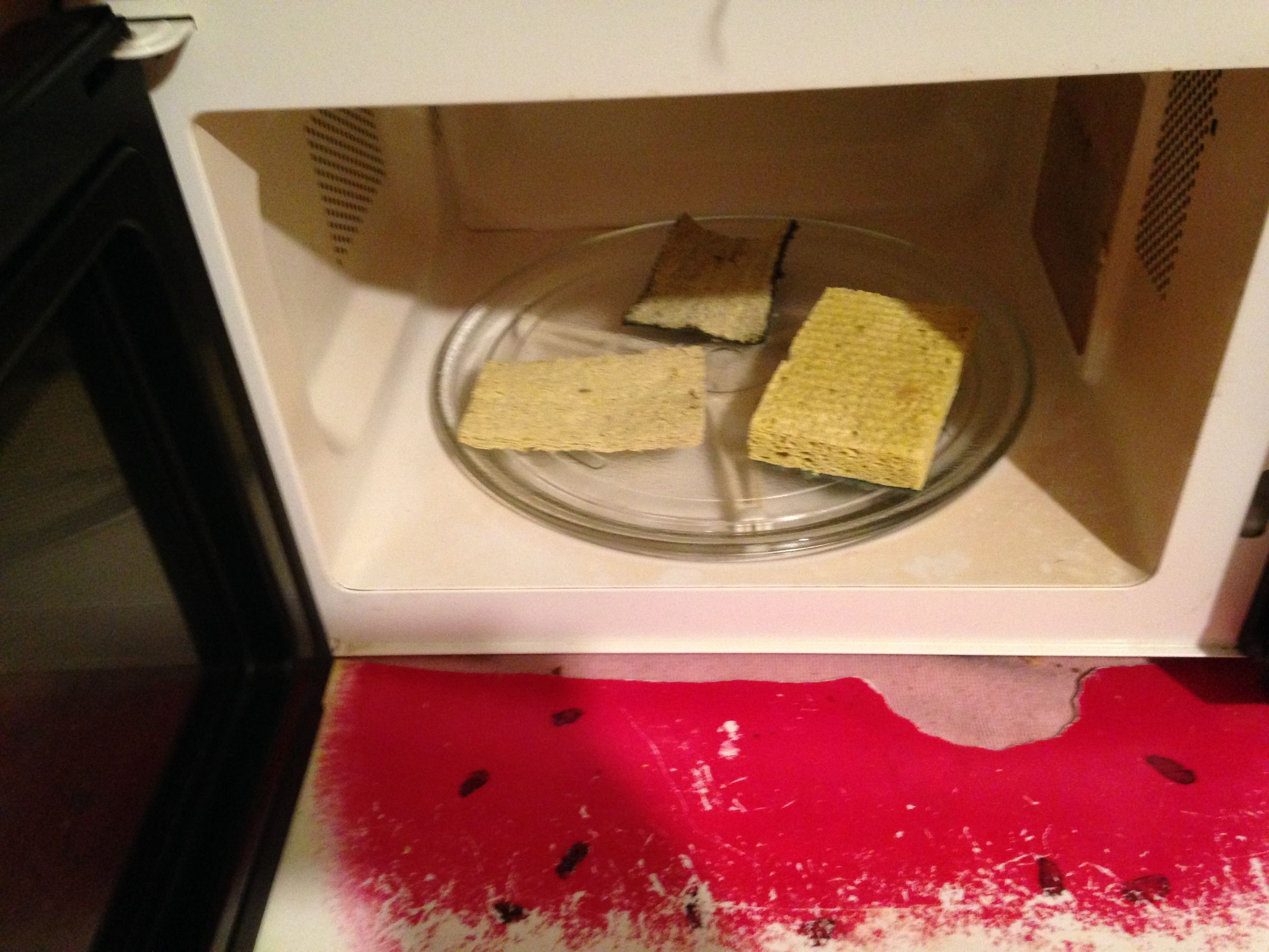 Keep Kitchen Sponges Free of Bacteria Instructables