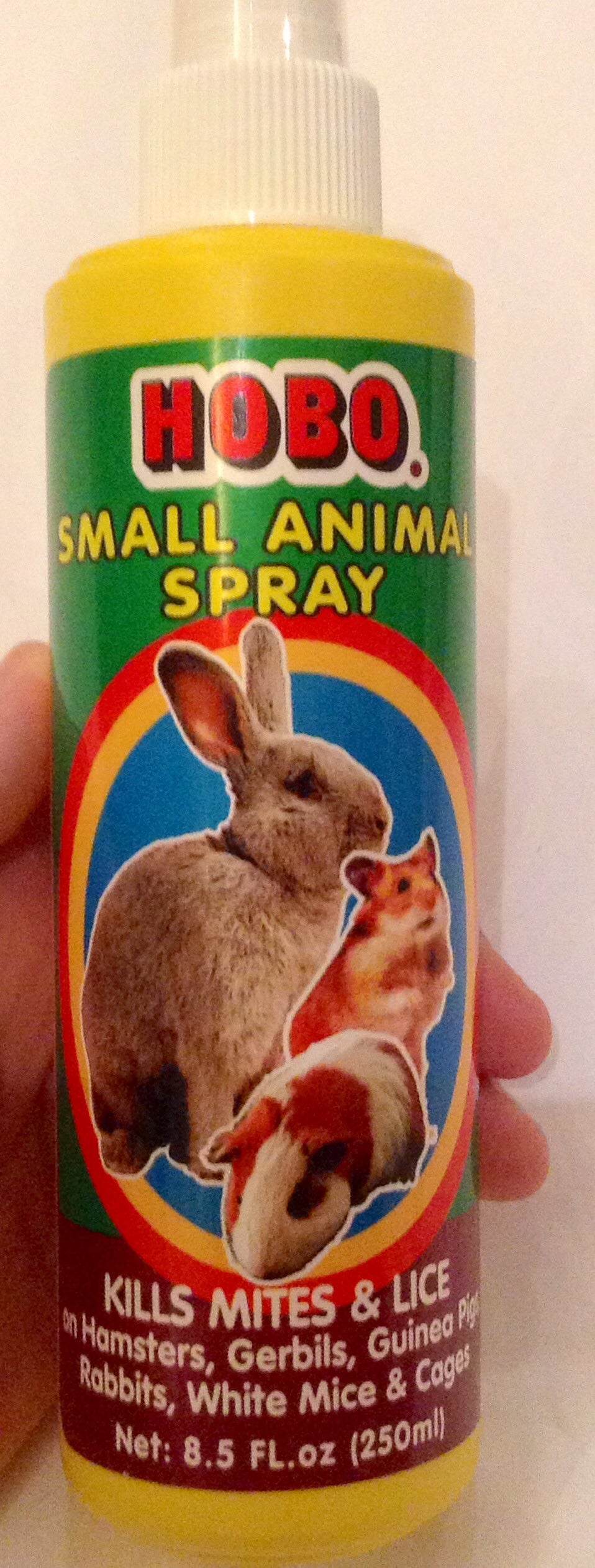 Supplies You Need to Take Care of a Rabbit