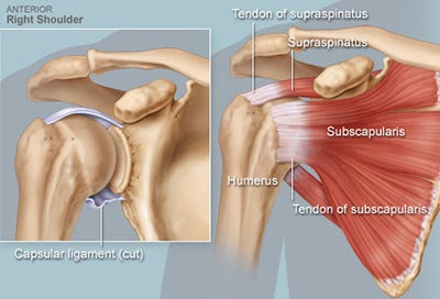 Stretch Your Rotator Cuff