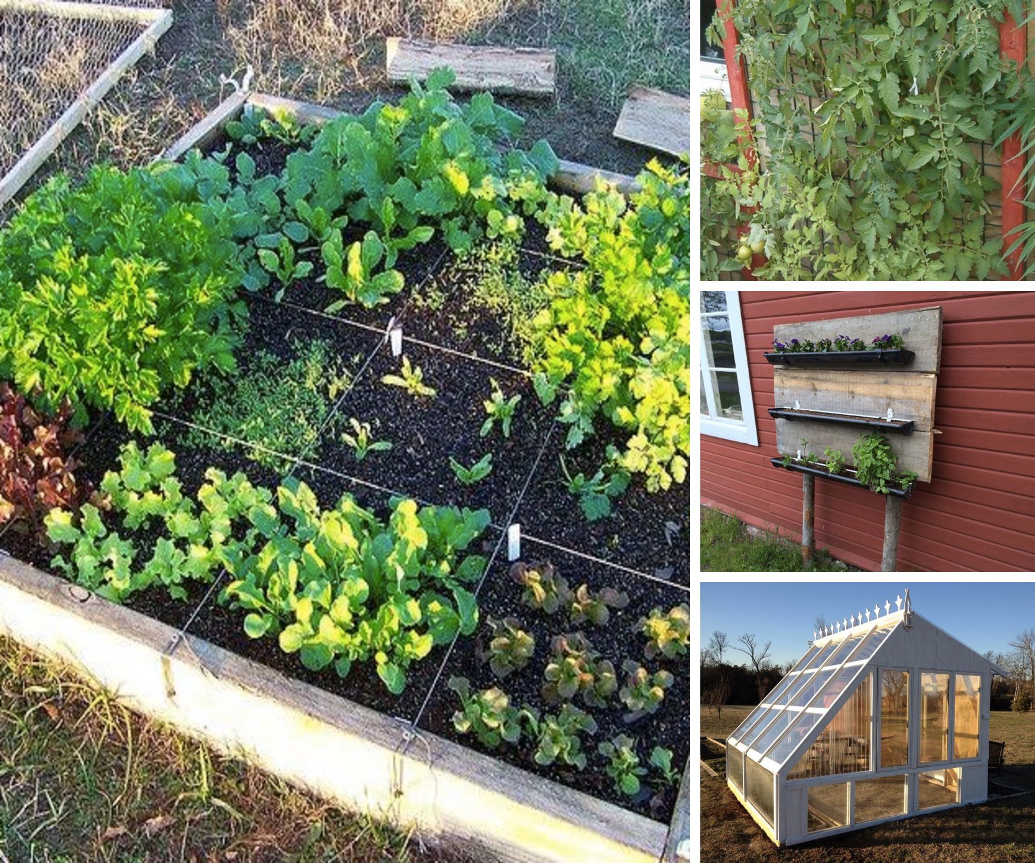 Go Gardening