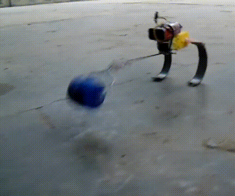 Hopper-flopper Robot